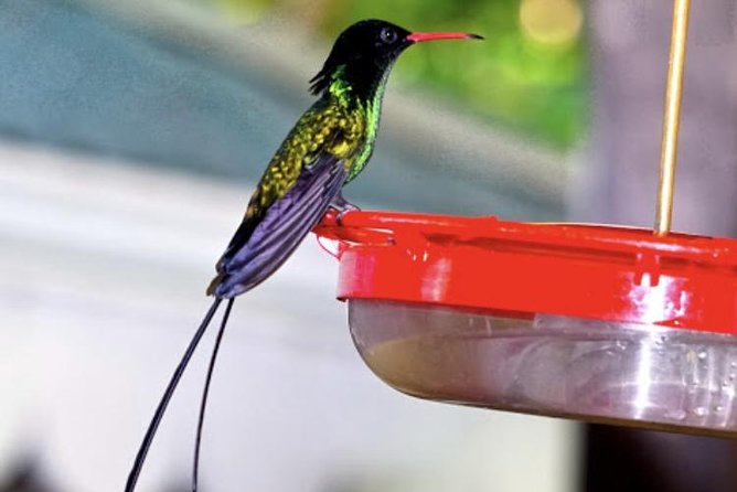 Rockland Bird Sanctuary and Hip-Strip Shopping - Age Restrictions and Participant Eligibility