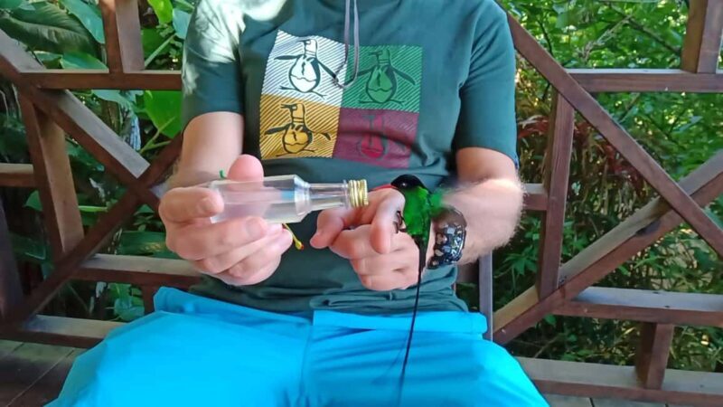 Rockland Bird Sanctuary and Shopping with Transportation - Key Points