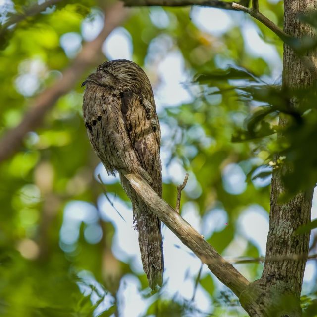 Rockland Bird Sanctuary and Shopping With Transportation - Key Points