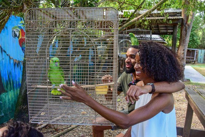 Rockland Bird Sanctuary plus Montego Bay Highlights & Shopping Private Tour - Introduction
