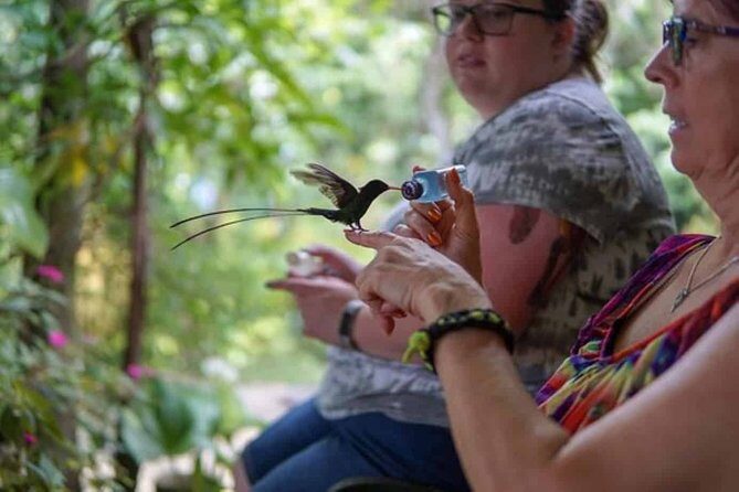 Rockland Bird Sanctuary plus Montego Bay Highlights & Shopping Private Tour - Key Points