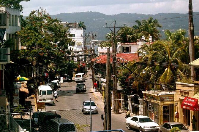 Rockland Bird Sanctuary plus Montego Bay Highlights & Shopping Private Tour - Shopping for Souvenirs and Local Crafts