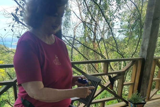 Rockland Bird Sanctuary Private Tour - Weather and Accessibility