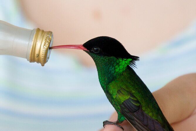 Rockland Bird Sanctuary Private Tour - What to Expect from the Tour