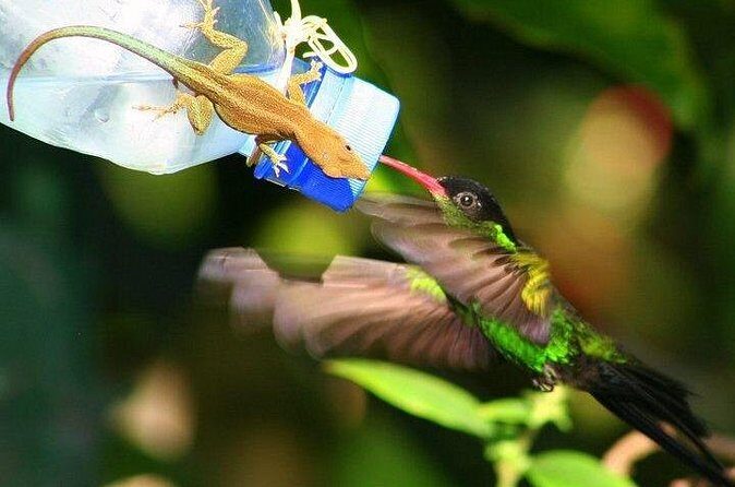 Rockland Bird Sanctuary Private Tour - Who Should Consider This Tour?