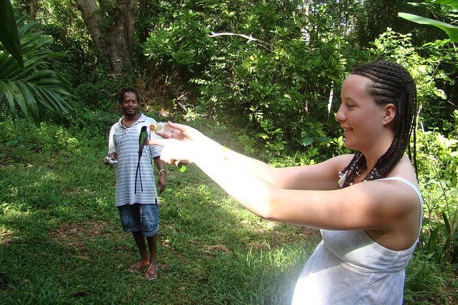 Rockland Bird Sanctuary Tour [Transportation] Hotel Pick-Up - FAQ: Rockland Bird Sanctuary Tour