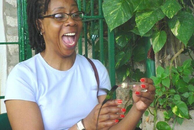 Rocklands Bird Sanctuary and Montego Bay Highlights Tour from Falmouth - Final Thoughts: Is This Tour Right for You?