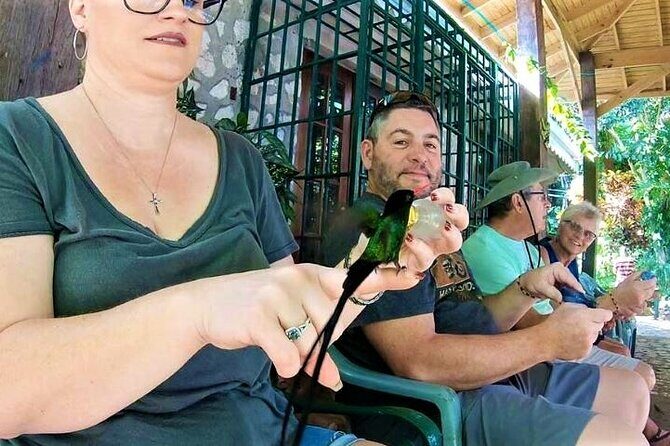 Rocklands Bird Sanctuary and Montego Bay Highlights Tour from Falmouth - Final Words