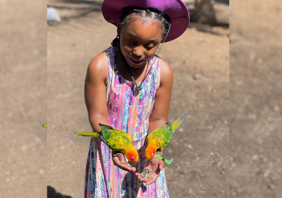 Rocklands Bird Sanctuary & Bird Farm With Private Transport - Key Points