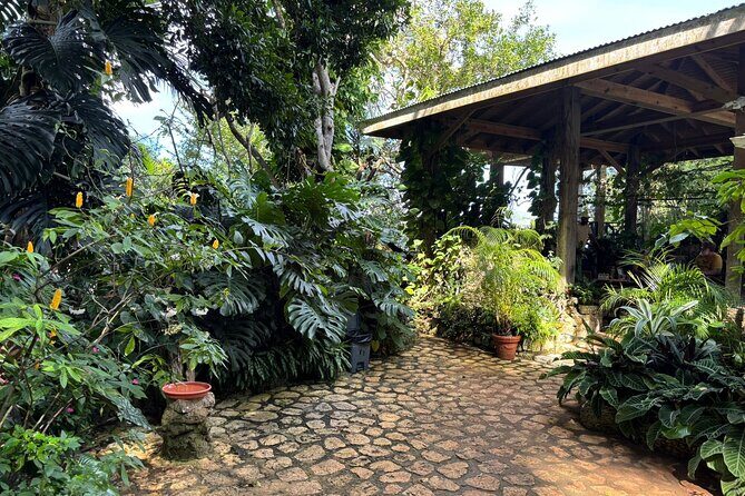 Rocklands Bird Sanctuary & St James Parish Church - The Sum Up: Who Is This Tour Best For?