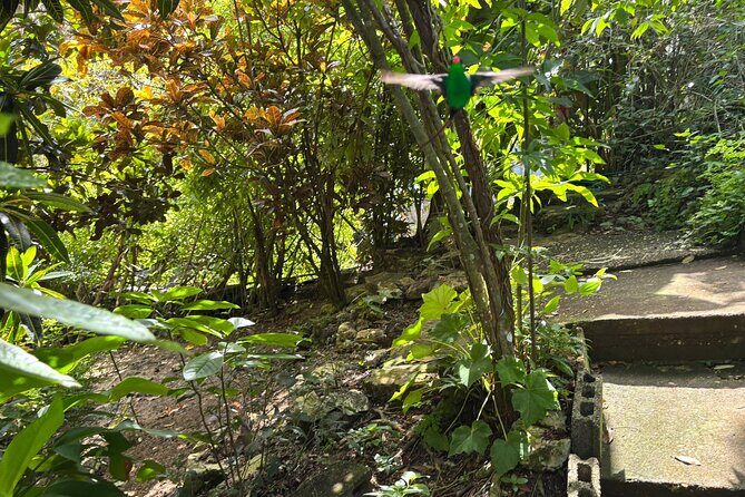 Rocklands Bird Sanctuary & St James Parish Church - Frequently Asked Questions