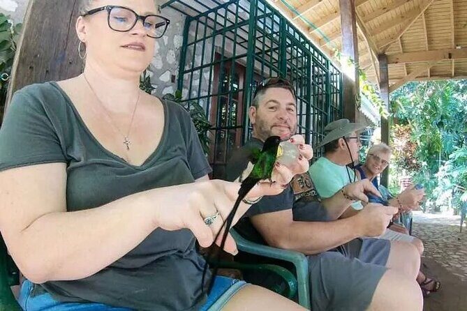 Rockland's Bird Sanctuary Tour from Montego Bay/ Falmouth - An In-Depth Look at the Rockland Bird Sanctuary Tour