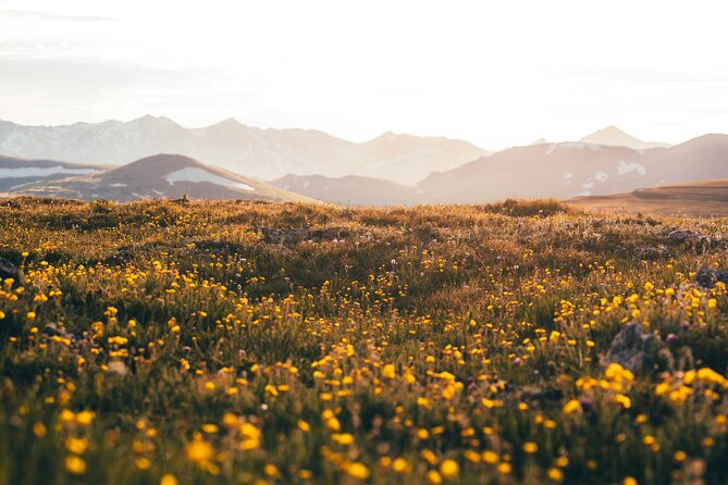Rocky Mountain Full Day Private Tour & Hike From Denver / Boulder - Itinerary