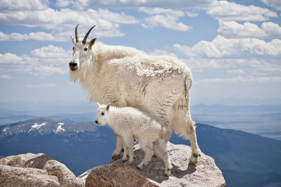 Rocky Mountain National Park: Driving Audio Tour App - Exclusions