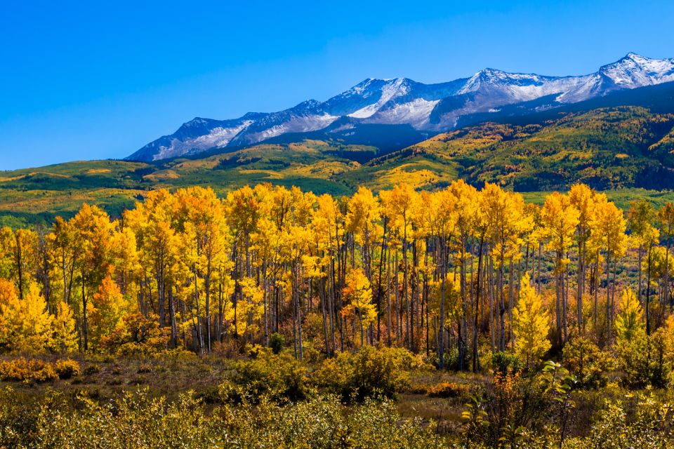 Rocky Mountain National Park: Driving Audio Tour App - Recap