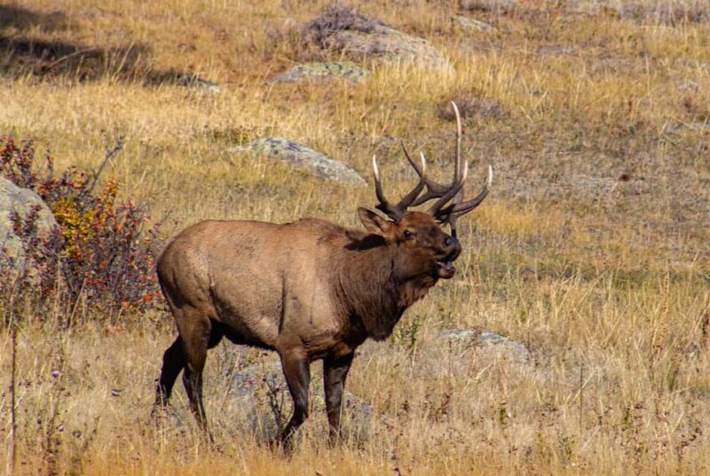 Rocky Mountain National Park Hike - The Experience and the Guides