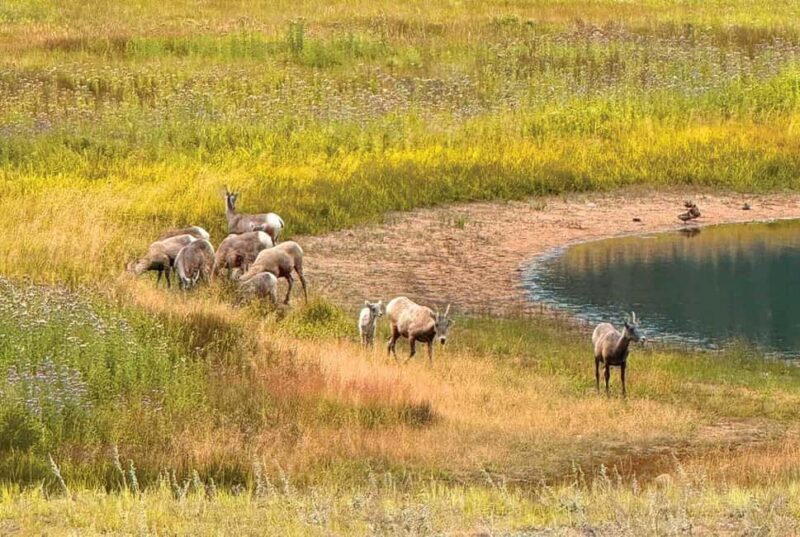 Rocky Mountain National Park Hike - Final Thoughts: Is It Worth the Price?