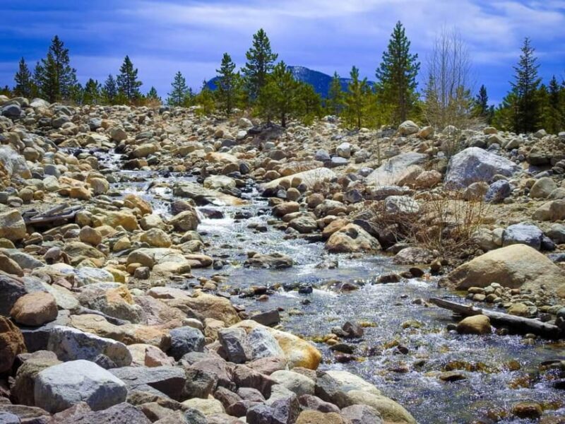 Rocky Mountain National Park: Private Geology Tour - What Makes This Tour Stand Out?