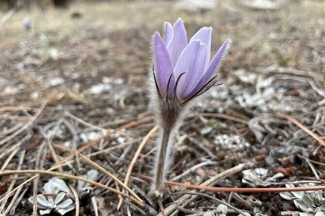 Rocky Mountain National Park Private Tour - Transportation and Logistics