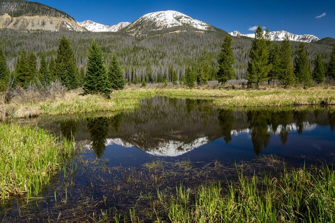 Rocky Mountain National Park Self-Guided Driving Audio Tour - Pricing and Value Proposition