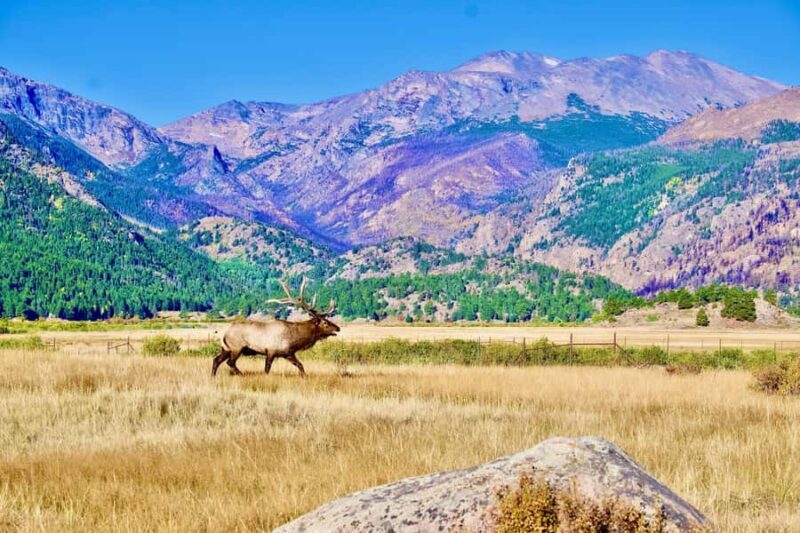 Rocky Mountain National Park: The Bear Lake Corridor - Who Will Love This Tour?