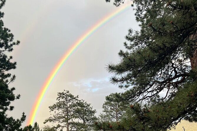 Rocky Mountain National Park The Best of Rocky Tour - An Overview of the Experience