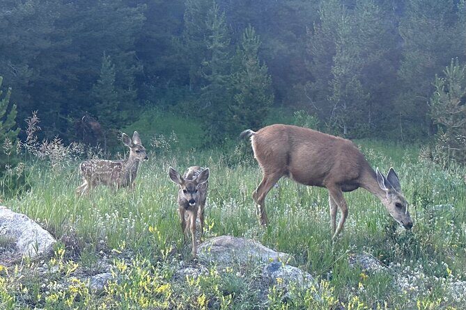 Rocky Mountain Reflections: The Bear Lake Corridor - FAQ