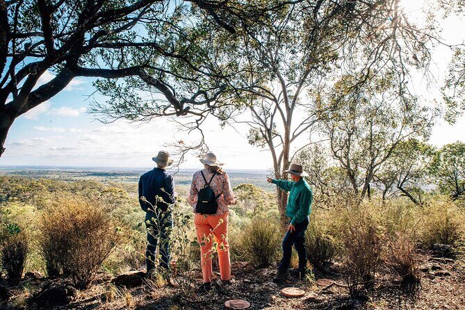 Roma: Landscape and Legacy Day Tour Including Lunch - Discover the Charm of Roma: A Detailed Look at the Landscape and Legacy Day Tour