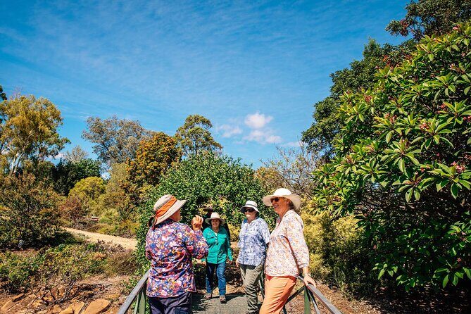 Roma: Landscape and Legacy Day Tour Including Lunch - Conclusions: Who Should Sign Up?