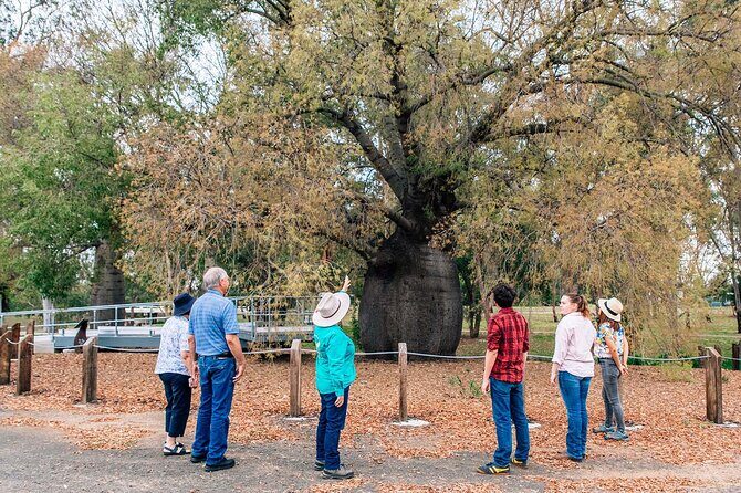 Roma Revelation Tour Experience - Introduction