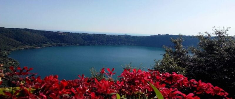 Roman Countryside: a Day Wine and Food Tasting, Private Tour - Wine Tasting Experience