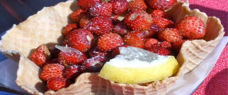 Roman Countryside: a Day Wine and Food Tasting, Small Group - Itinerary Highlights