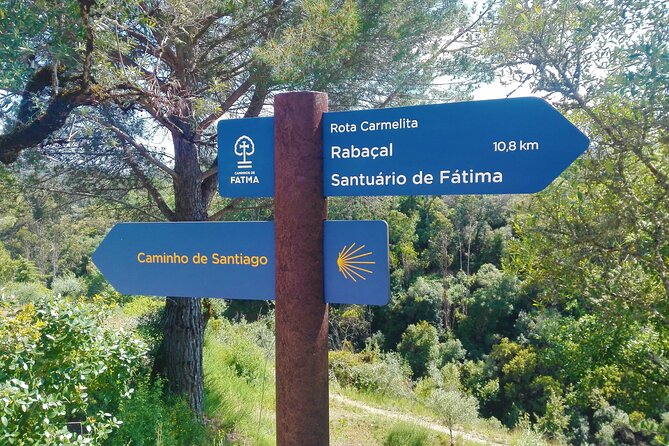 Roman Ruins of Conimbriga and Sicó Mountain, Half-Day From Coimbra - Knowledgeable Local Guide Insights