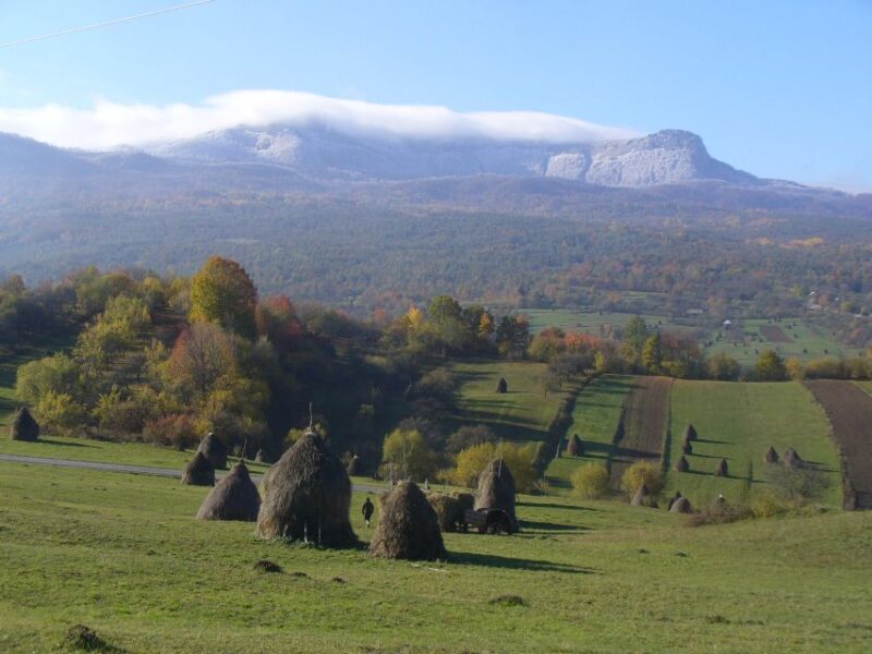 Romania: Private 12 Days Tour With Bed and Breakfast - Cultural Experiences