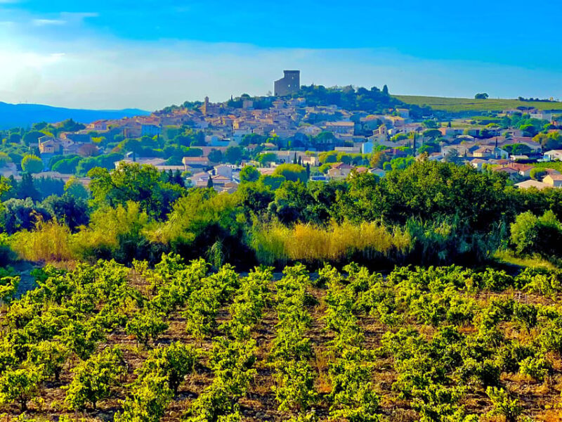 Romans and Wine - Wine Tasting Experience