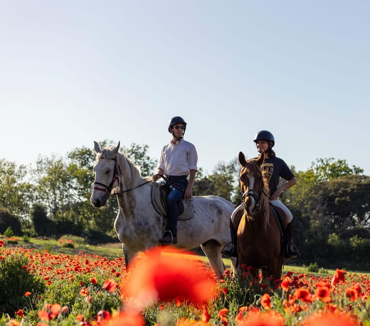 Romantic Day in Ancient Rome - Unique Activities Offered