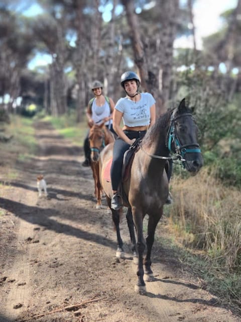 Romantic Day in Ancient Rome - Inclusions and Exclusions