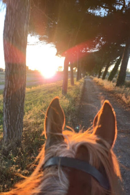 Romantic Day in Ancient Rome - Important Information