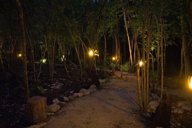 Romantic Dinner for 2 in Magical Jungle Setting - An In-Depth Look at the Experience