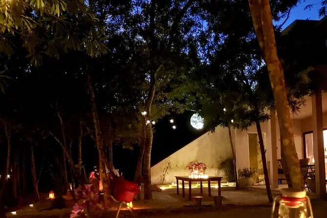 Romantic Dinner for 2 in Magical Jungle Setting - Final Thoughts
