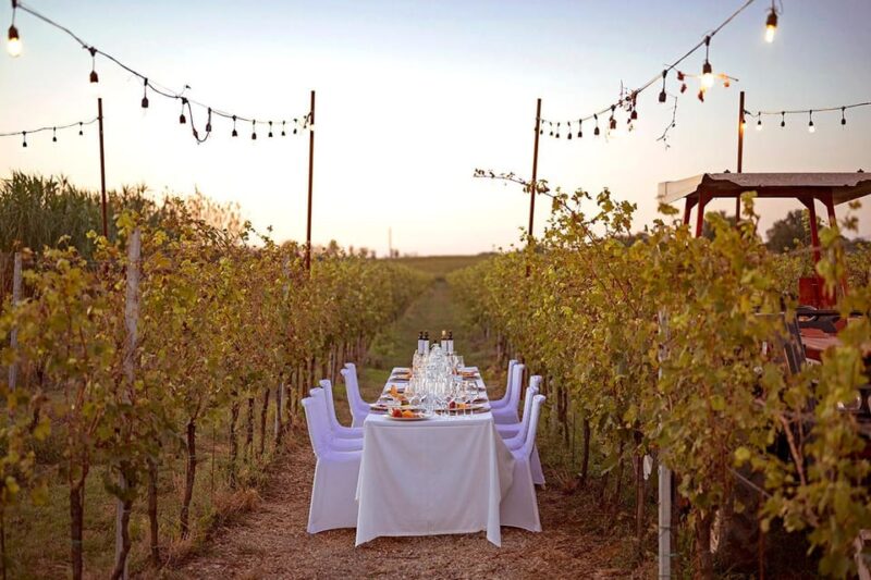 Romantic Dinner in the Vineyard of Poggio Ai Laghi Winery - Key Points