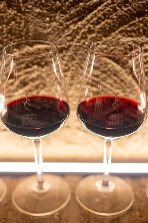 Romantic Dinner in the Vineyard of Poggio Ai Laghi Winery - Location and Ambiance