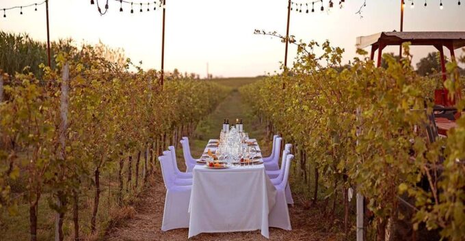Romantic Dinner in the Vineyard of Poggio Ai Laghi Winery - Private Group Benefits