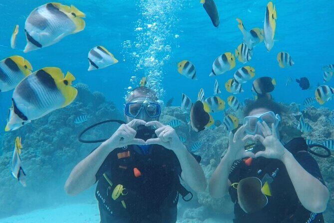 Romantic Dive for beginners in Bora Bora (2 people) with Video - Introduction