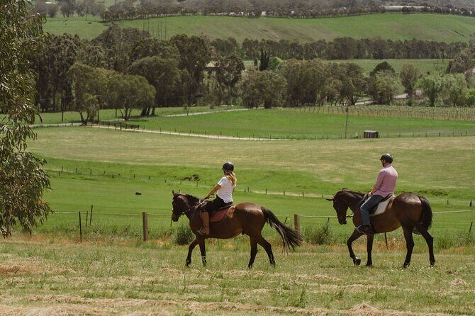 Romantic Horse Trail Ride with Wine and Food in Adelaide Hills - Detailing the Itinerary