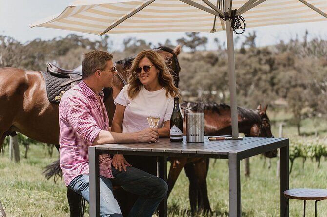 Romantic Horse Trail Ride with Wine and Food in Adelaide Hills - Who Should Consider This Tour?