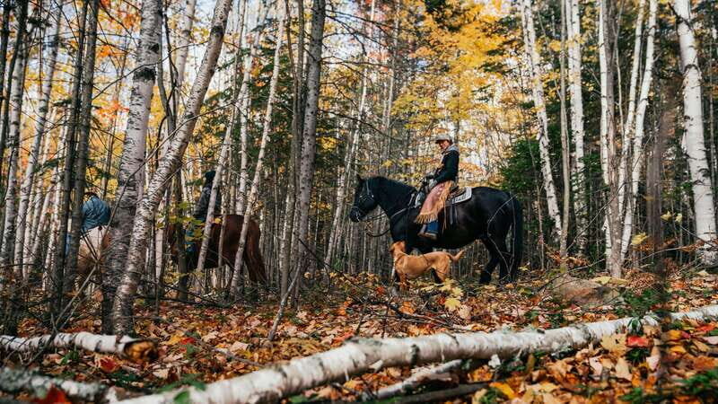 Romantic horseback riding at sunset : La Crépuscule - The Experience Provider: Les Montagnards de Charlevoix