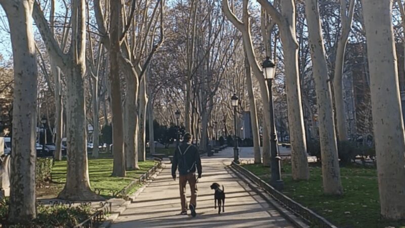 Romantic Madrid in the 19th century - FAQ
