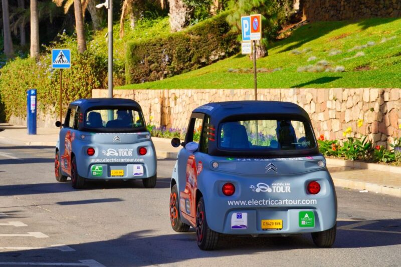 Romantic Night Tour of Málaga by Electric Car - Wandering Through Soho, Málaga
