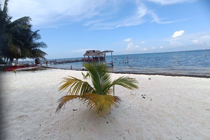 romantic picnic with a view of the caribbean sea - Real Insights from Other Travelers